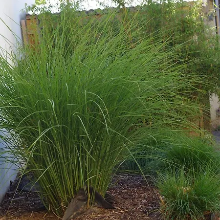 Für Liebhaber Des Besonderen Ferienhaus Trier