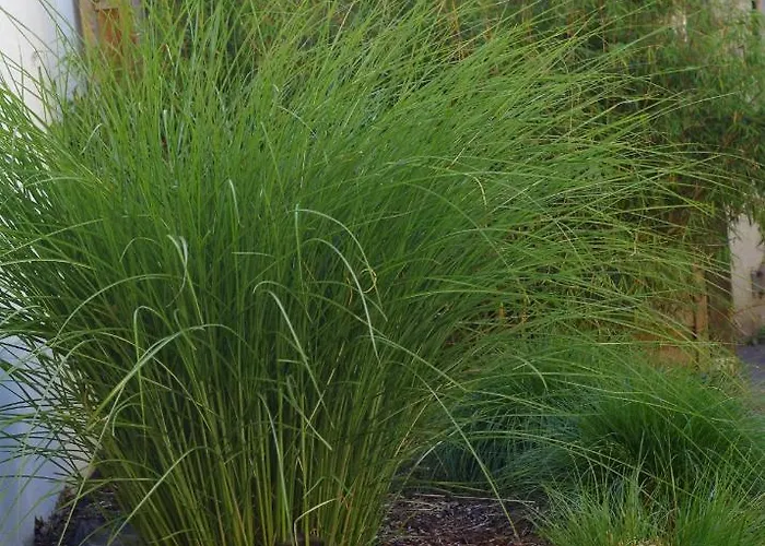 Fuer Liebhaber Des Besonderen بيت للعطل ترير